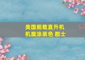 美国舰载直升机 机腹涂装色 郡士